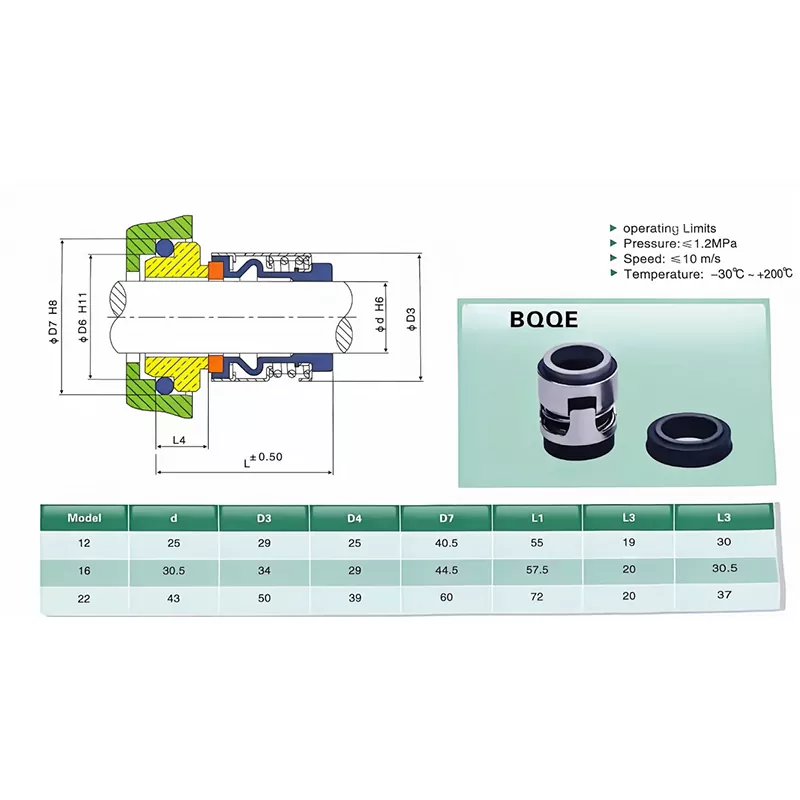 BQQE Grundfos Pumpen-Gleitringdichtung